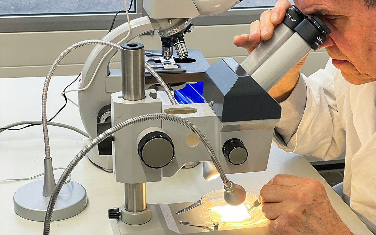 Bauchemisches Labor – Analyse mit Dr. Knorr