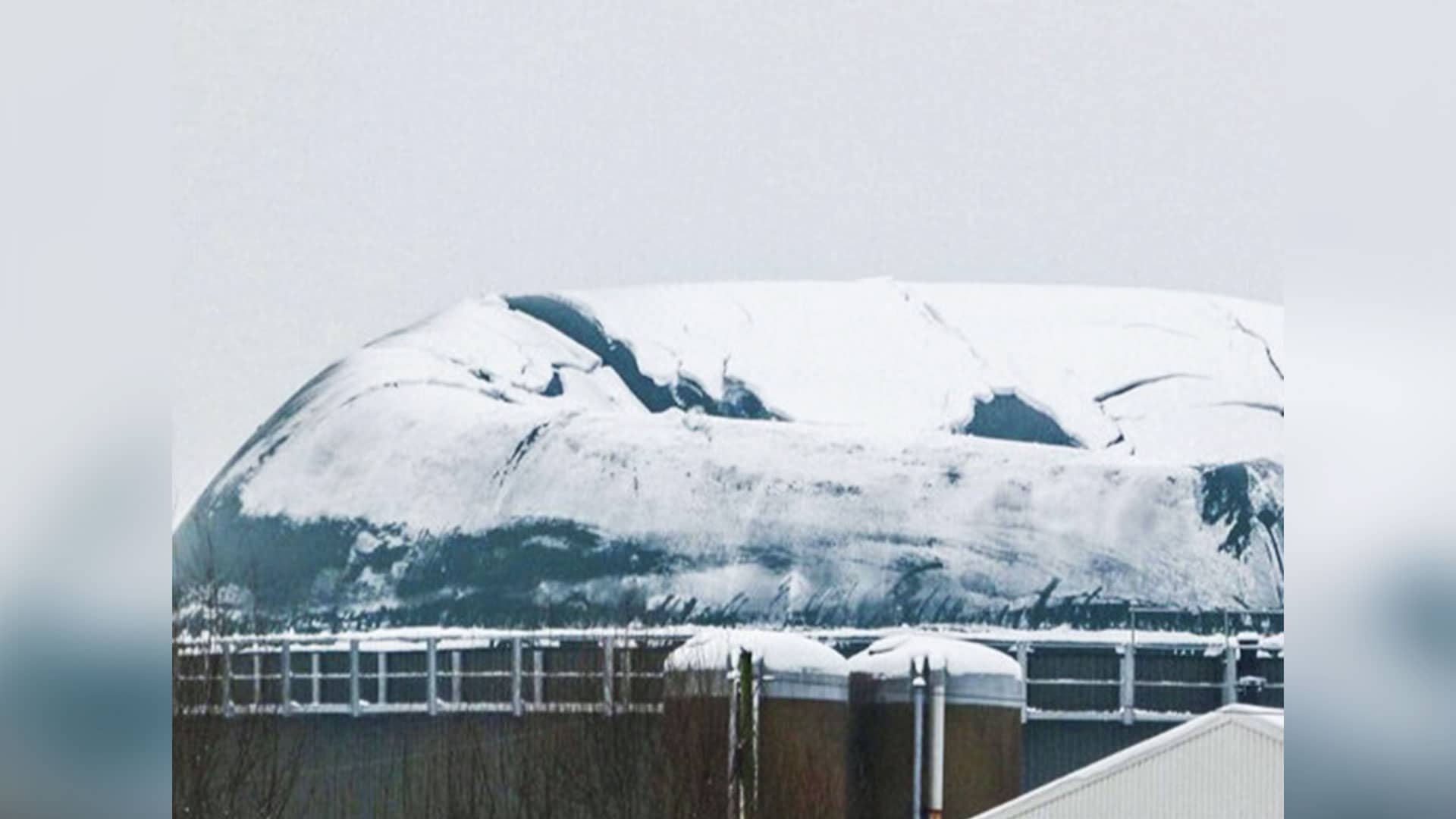 Eingebrochenes Dach einer Biogasanlage